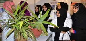 homeobook-feb-15 (9)