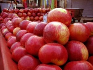 Kashmiri_Apples