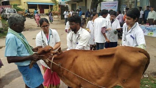Emerging Role of Homeopathy in Animal Husbandry: An Overview by veterinary  doctors